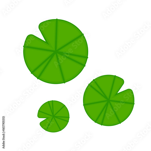 Photos Lily pad vector. Lily cartoon on PNG.