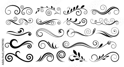 Assortment of Black Swirls and Flourishes with Leaf Accents on White scroll vine