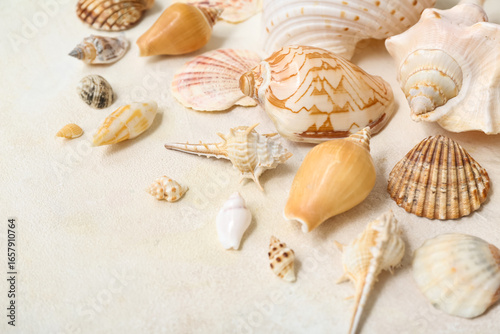 Many different sea shells o...