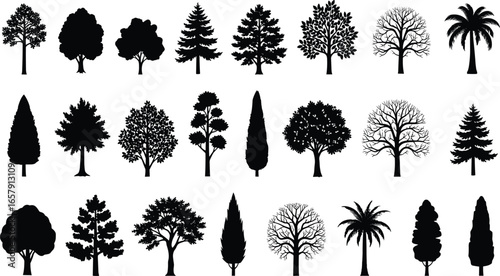 Tree silhouette set, coniferous and deciduous shapes, palm tree vector, forest graphic design, botanical illustration, nature art collection