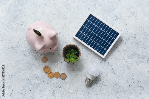 Portable solar panel with p...