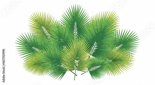 Palm leaves illustration background