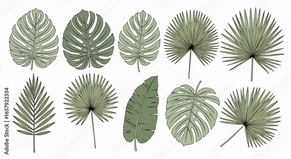 Fototapeta premium Tropical leaf illustration