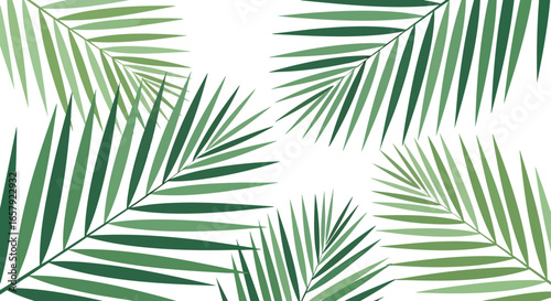 Tropical palm frond pattern background