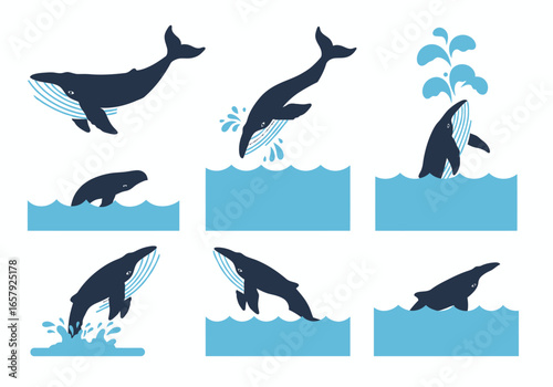 A collection of stylized illustrations depicting various whale behaviors, including breaching, swimming, and spouting water in a blue ocean setting.