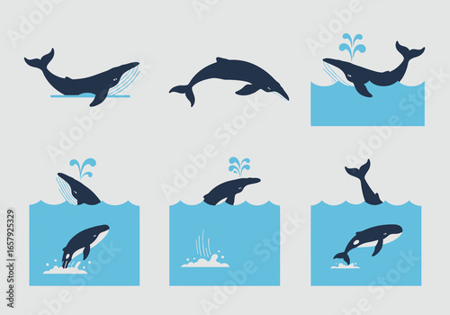 Stylized illustrations of various whales in different poses, swimming and breaching the water's surface.