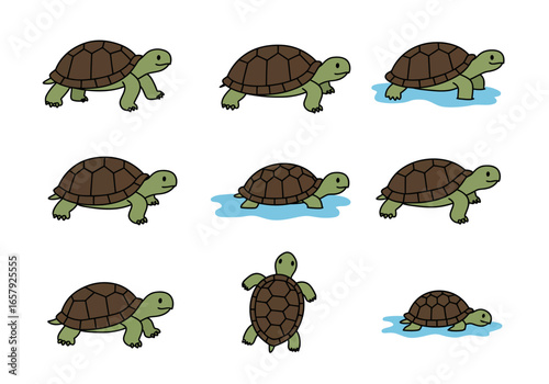 A collection of nine cartoon illustrations depicting various poses and movements of a green tortoise with a brown shell, some on land and some in water.