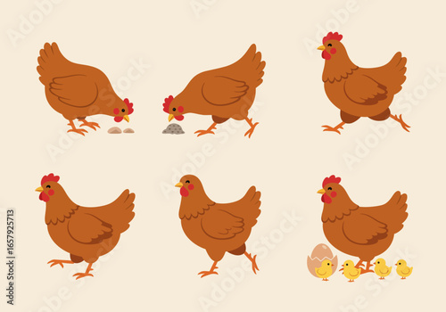 Six illustrations of a brown hen in various poses, including pecking at the ground, walking, and standing with newly hatched chicks and an egg.