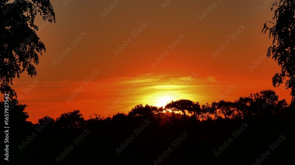Fototapeta premium Sonnenuntergang 5