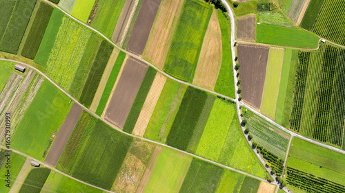 Aerial view of colorful cultivated fields creating a geometric pattern in the countryside of Tyrol, Austria, highlighting agricultural land use