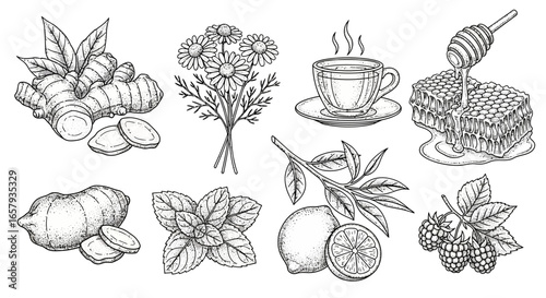 Illustration of natural remedies: ginger, chamomile, tea, honey, mint, lemon, and berries, depicted in a detailed, hand-drawn style.