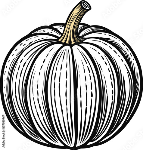 Pumpkin Art Variations Elegant Hand-Drawn Pumpkin Illustration