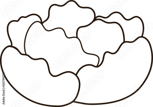 6.epsBlack line drawing of cauliflower