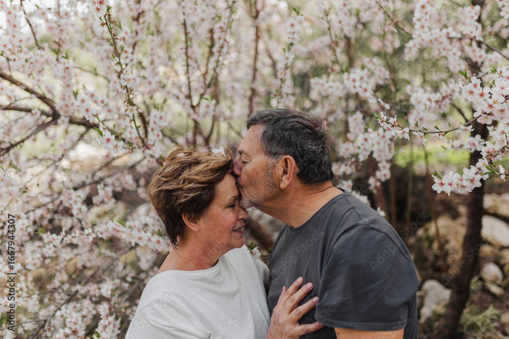 Senior man kissing woman by blossoming tree Senior man kissing woman by blossoming tree