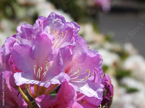 いくらでも近づいて