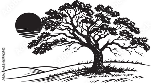 A monochrome illustration shows a solitary tree on a hill against a distant sun. 
