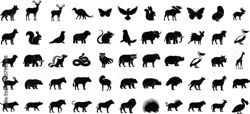 Animal silhouette set with 60 species including mammals, birds, reptiles, and insects in black vector style
