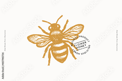 Bee illustration in vintage engraving style with flower honey label isolated on white background. Apiculture and natural honey production concept. Design for packaging, label, banner, print, poster