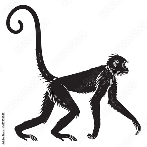black spider monkey Silhouette Vector, High Quality Illustration on White Background