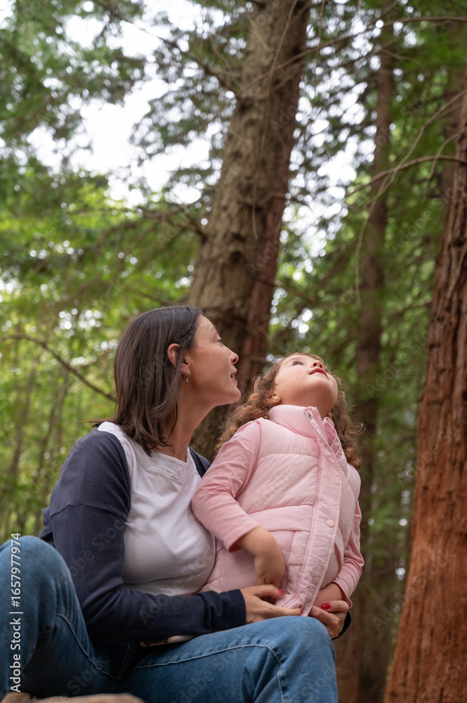 Fototapeta premium Mother and daughter looking up at giant sequoia trees