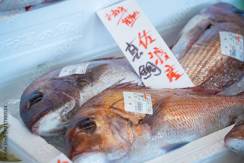 新潟県_万代島鮮魚センター_マダイ