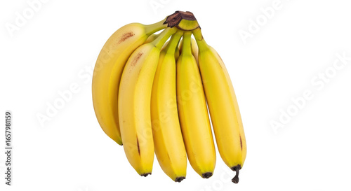 Isolated bananas bunch