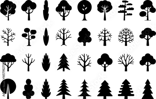 Diverse Tree  variety, forest, woodland, tree  vector bundle 