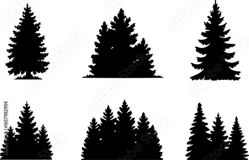 Pine Tree  , forest, nature  black vector bundle design graphics