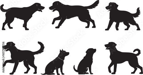 Silhouette Collection of Dogs in Various Poses Including Standing, Sitting, and Running, Showing Different Breeds and Tail Wagging