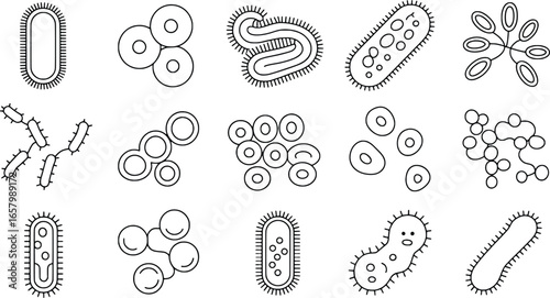 Hand drawn collection of various bacteria and microorganisms