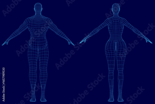 A 3D wireframe model of a female body with outstretched arms, showcasing detailed anatomical features against a solid blue background. The digital representation highlights both male and female.