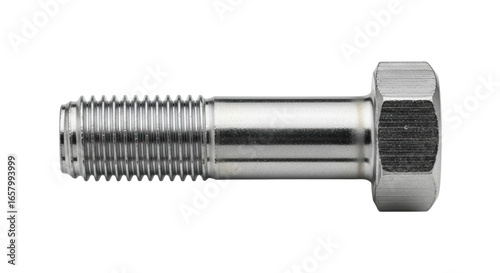 Canvas Print Isolated Metal Bolt