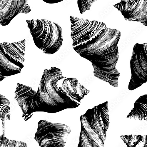 Seamless black and white seashell pattern vector illustration vintage sea shells marine life beach print 100