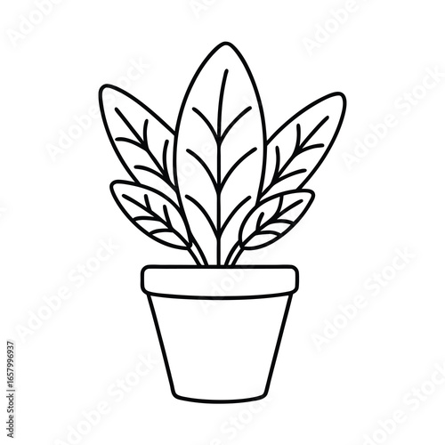 drawing of houseplant in pot on white background