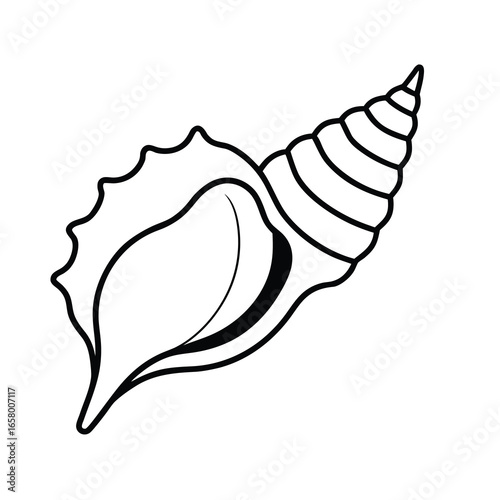 ocean conch clip art on white background 