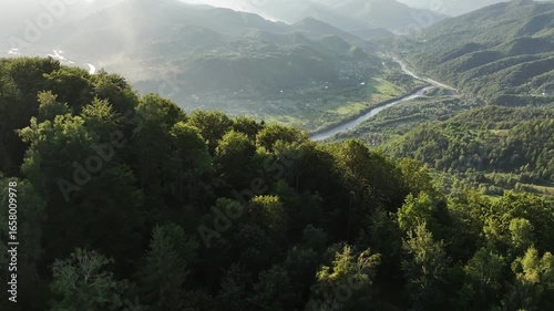 Flight over the summer mountains with mountain river serpentine, green meadows, village and forest. Ukraine, Carpathians