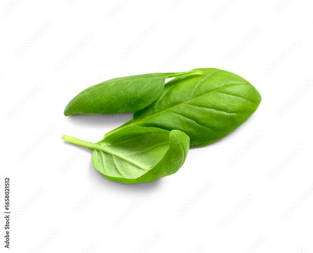 Fototapeta premium Fresh green basil leaves on white background