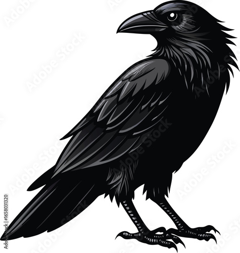 Gothic Minimal Collection Majestic Black Raven Illustration