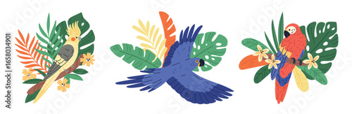 Tropical parrots in leaves. Exotic bright wild birds with beautiful plants and flowers, summer jungle compositions design, cartoon flat style isolated flora and fauna garish vector set