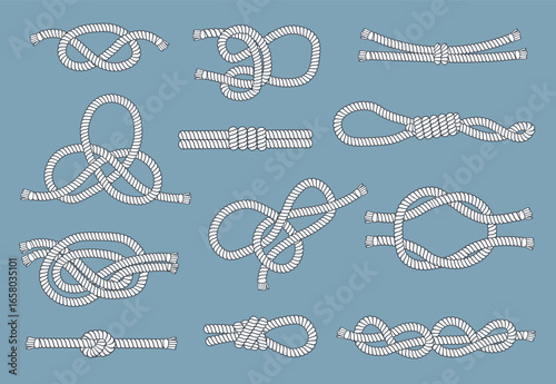 Rope knots and loops. Nautical nodes, navy cordage elements, decorative marine design, different types sea hitches. Decorative and functional cords and cable splendid vector isolated set