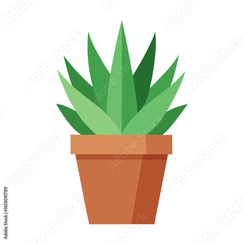 A potted aloe succulent plant with green leaves and a terracotta pot isolated on a clean white background for design