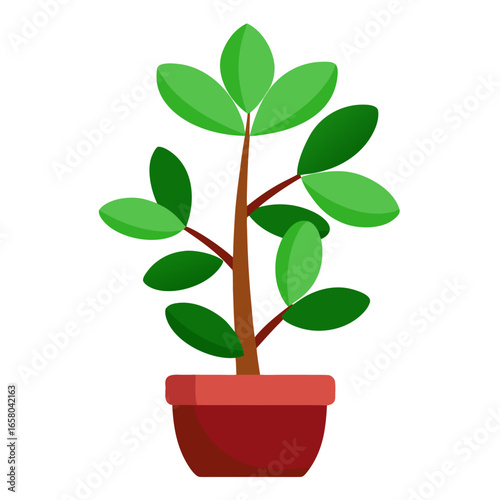 A vibrant green jade plant illustration meticulously rendered on a clean isolated white background perfect for decorative purposes
