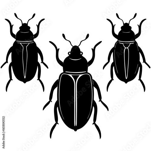colorado potato beetle isolated on white background