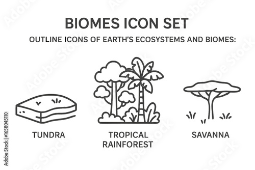 Earth biomes outline icon set. Linear vector icons of Earth's ecosystems: tundra permafrost, tropical rainforest jungle, and savanna grassland with acacia tree. Geography nature.