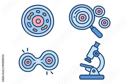 Biology and science research icon set. Laboratory tools like microscope and magnifying glass. Biological process of cell division, mitosis. Petri dish with cell culture vector.