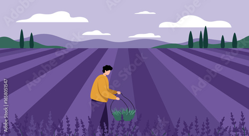 Man tending a vibrant lavender field under a serene sky. Ideal for concepts of rural life, harvest, natural beauty, agriculture, and tranquility.