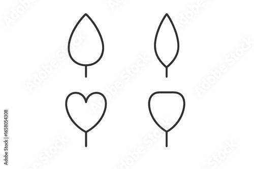 Vector outline icon set of diverse petal shapes and forms including ovate, lanceolate, obcordate, and spatulate petals, botanical floral elements on transparent background