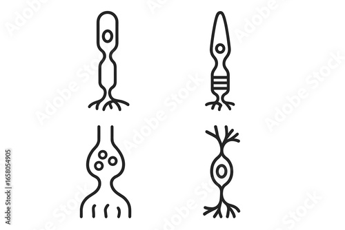 Outline Icon Set of Retinal Photoreceptors and Synapses, Rod and Cone Cells, Photopigment, Bipolar and Ganglion Cell, Neural Retina Structure, Vector Illustration, Neuroscience, Biology