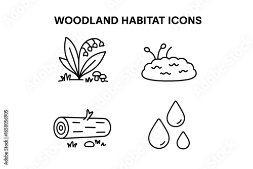 Woodland Habitat Vector Icons Collection. Outline Illustrations of Lily of the Valley, Forest Floor Mushrooms, Moss Patch, Fallen Log, Dew Drops. Nature Ecosystem Symbols. Forest Elements Clipart PNG