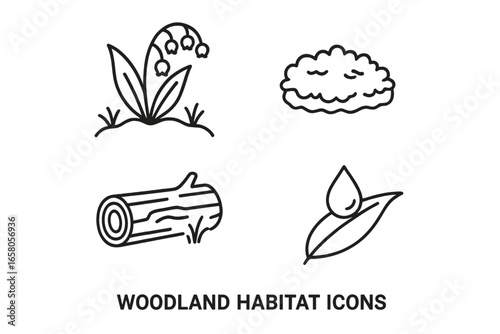 Woodland habitat vector icons set. Outline style nature elements: lily of the valley flower, forest floor, moss patch, fallen log, dew on leaf. Wildlife ecosystem plants illustration PNG.